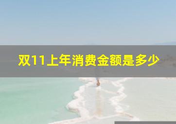 双11上年消费金额是多少