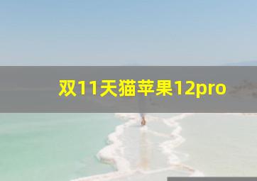 双11天猫苹果12pro