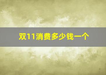 双11消费多少钱一个