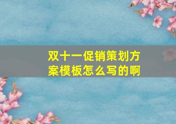 双十一促销策划方案模板怎么写的啊