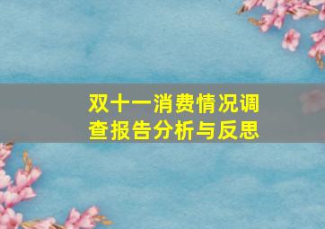 双十一消费情况调查报告分析与反思