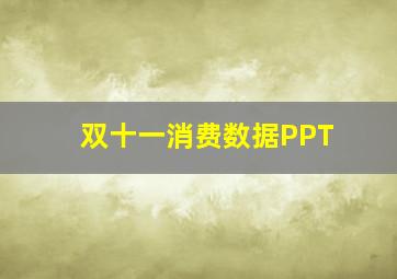 双十一消费数据PPT