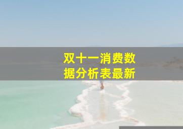 双十一消费数据分析表最新