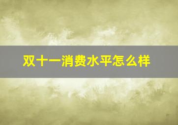 双十一消费水平怎么样