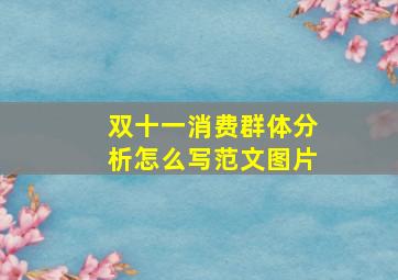 双十一消费群体分析怎么写范文图片