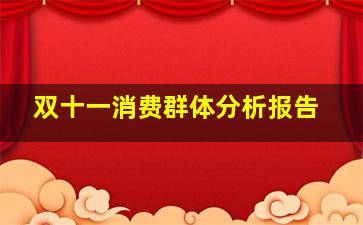 双十一消费群体分析报告