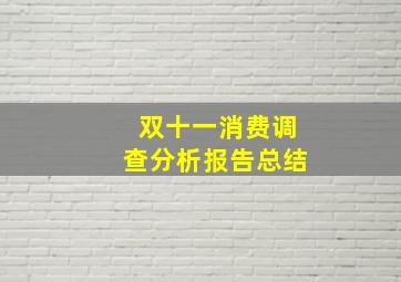 双十一消费调查分析报告总结