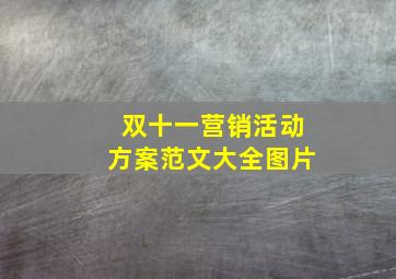 双十一营销活动方案范文大全图片