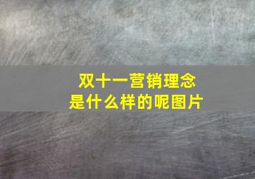 双十一营销理念是什么样的呢图片