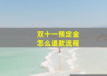 双十一预定金怎么退款流程