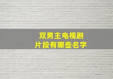 双男主电视剧片段有哪些名字