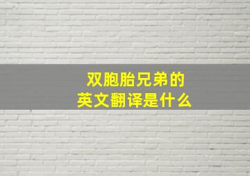 双胞胎兄弟的英文翻译是什么