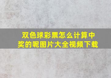 双色球彩票怎么计算中奖的呢图片大全视频下载