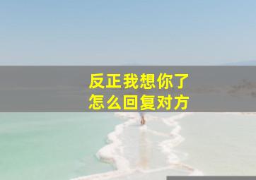 反正我想你了怎么回复对方