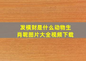 发横财是什么动物生肖呢图片大全视频下载