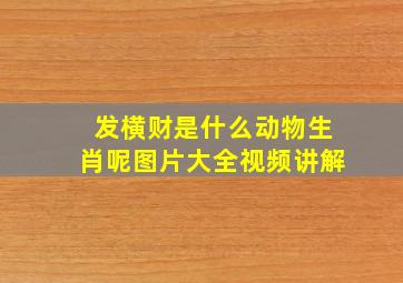 发横财是什么动物生肖呢图片大全视频讲解