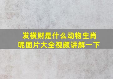 发横财是什么动物生肖呢图片大全视频讲解一下