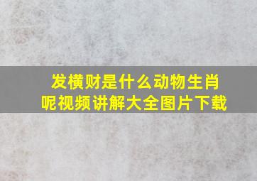 发横财是什么动物生肖呢视频讲解大全图片下载