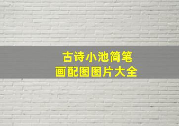 古诗小池简笔画配图图片大全