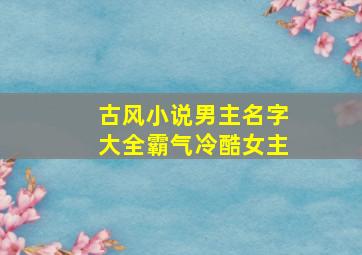 古风小说男主名字大全霸气冷酷女主