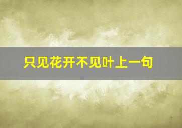 只见花开不见叶上一句