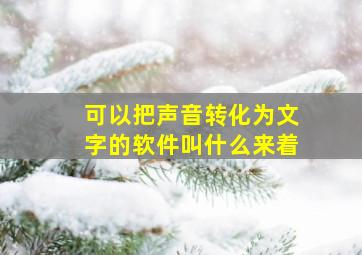 可以把声音转化为文字的软件叫什么来着