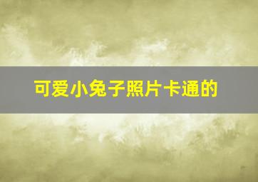 可爱小兔子照片卡通的