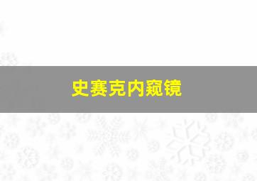 史赛克内窥镜