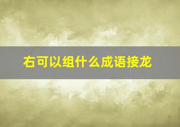 右可以组什么成语接龙