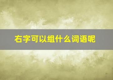 右字可以组什么词语呢