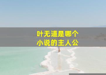 叶无道是哪个小说的主人公