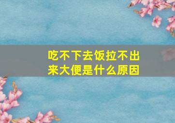 吃不下去饭拉不出来大便是什么原因