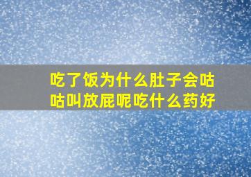 吃了饭为什么肚子会咕咕叫放屁呢吃什么药好