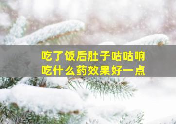 吃了饭后肚子咕咕响吃什么药效果好一点