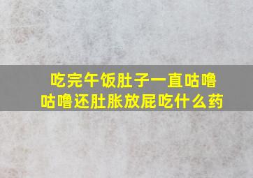 吃完午饭肚子一直咕噜咕噜还肚胀放屁吃什么药