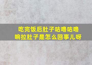 吃完饭后肚子咕噜咕噜响拉肚子是怎么回事儿呀