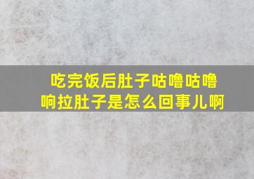 吃完饭后肚子咕噜咕噜响拉肚子是怎么回事儿啊