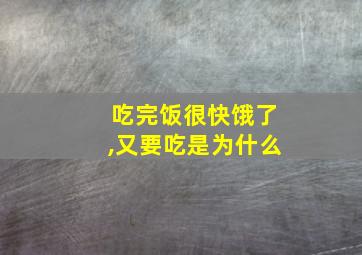 吃完饭很快饿了,又要吃是为什么