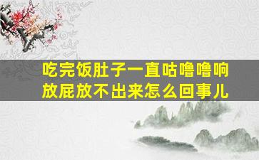 吃完饭肚子一直咕噜噜响放屁放不出来怎么回事儿