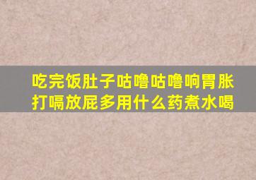 吃完饭肚子咕噜咕噜响胃胀打嗝放屁多用什么药煮水喝