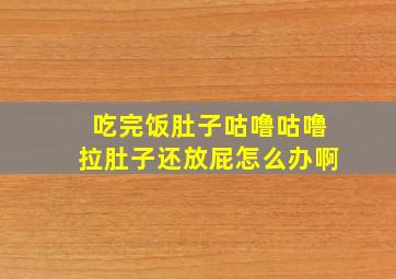 吃完饭肚子咕噜咕噜拉肚子还放屁怎么办啊