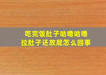 吃完饭肚子咕噜咕噜拉肚子还放屁怎么回事