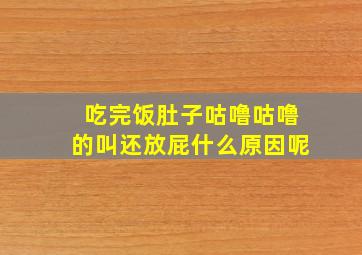 吃完饭肚子咕噜咕噜的叫还放屁什么原因呢