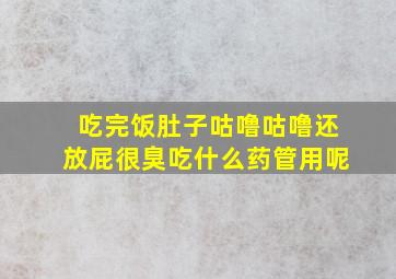 吃完饭肚子咕噜咕噜还放屁很臭吃什么药管用呢