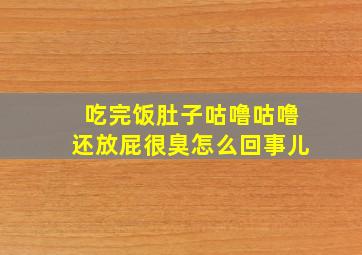 吃完饭肚子咕噜咕噜还放屁很臭怎么回事儿