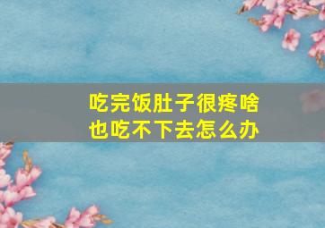 吃完饭肚子很疼啥也吃不下去怎么办