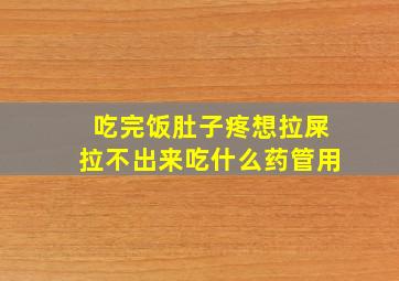 吃完饭肚子疼想拉屎拉不出来吃什么药管用