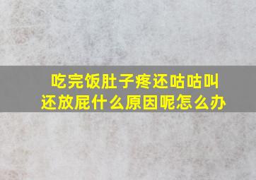 吃完饭肚子疼还咕咕叫还放屁什么原因呢怎么办