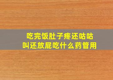 吃完饭肚子疼还咕咕叫还放屁吃什么药管用