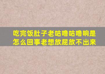 吃完饭肚子老咕噜咕噜响是怎么回事老想放屁放不出来